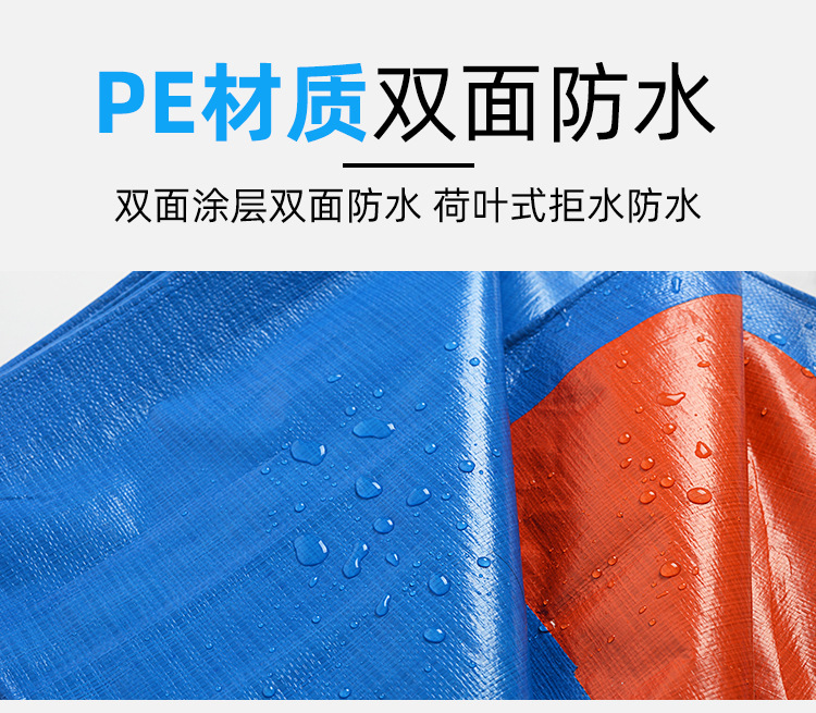 金仓160g蓝橘详情页_05.jpg